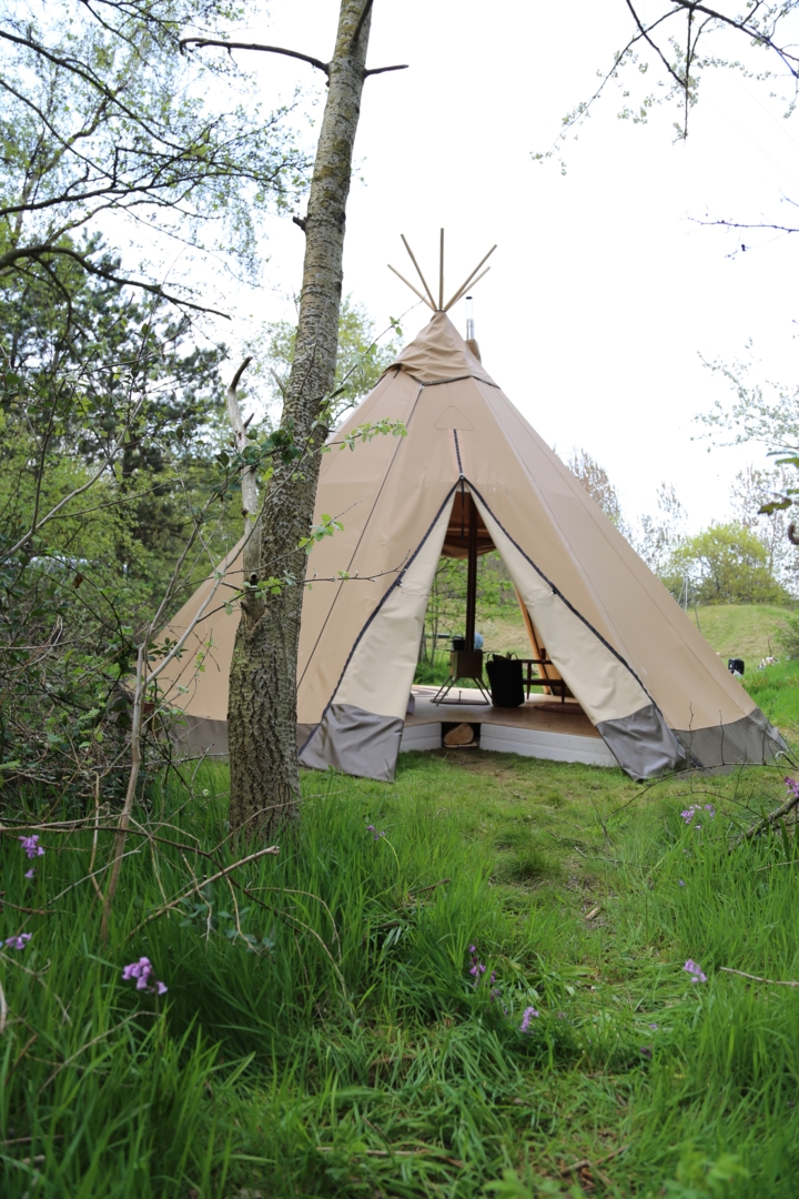 tipi-tente-261tse-1.jpg Tente tipi dans la zone des dunes à la pointe sud de Texel – Image 1